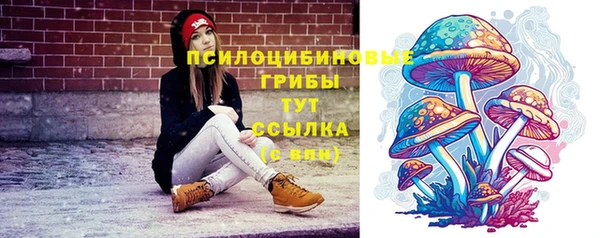 винт Алексеевка