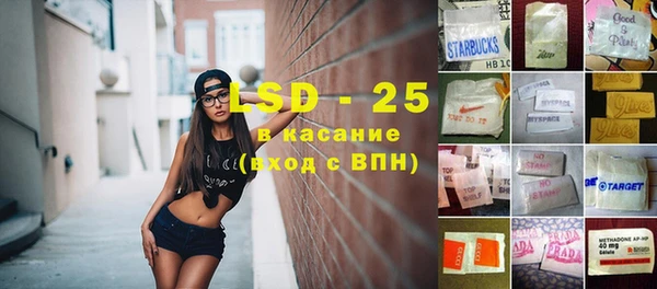spice Алзамай