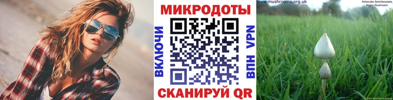 Псилоцибиновые грибы прущие грибы  Николаевск-на-Амуре 